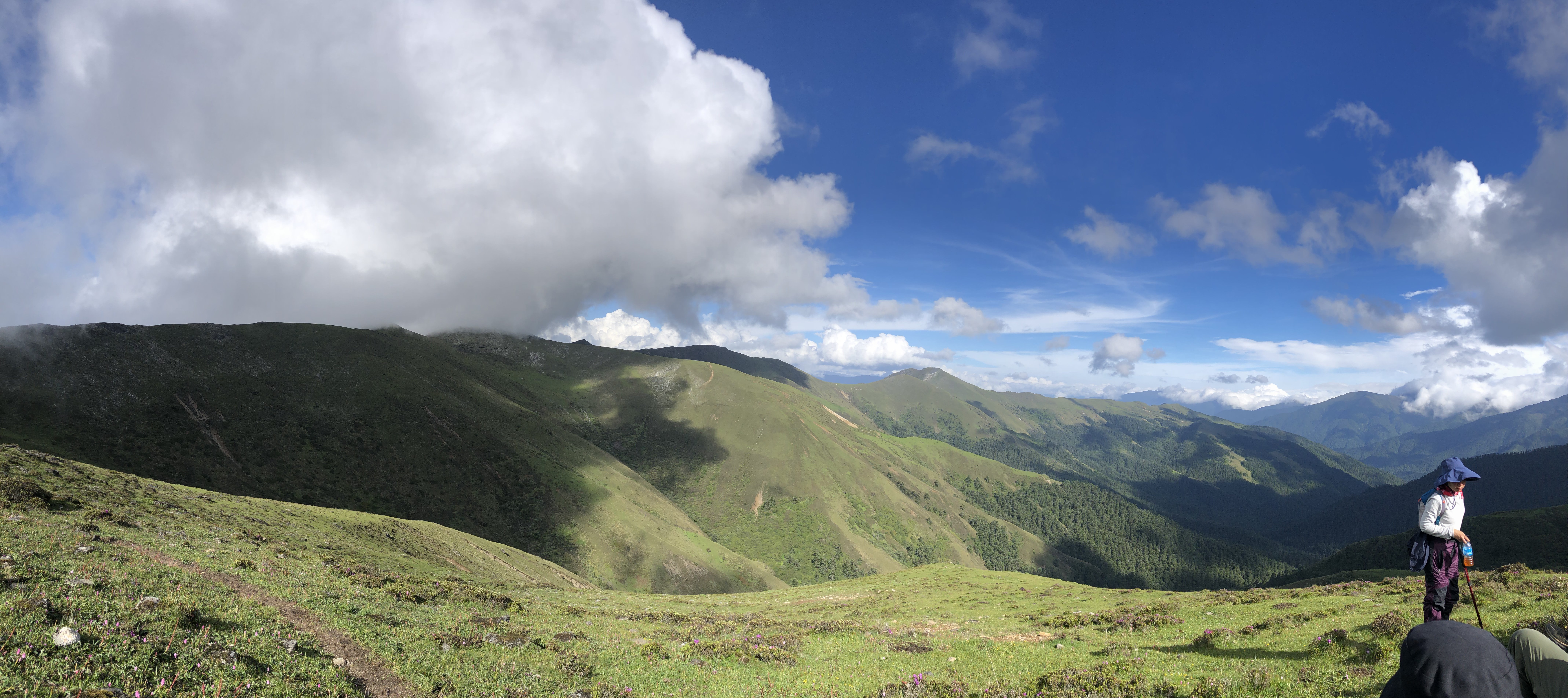 Himalayan Wellness Retreat